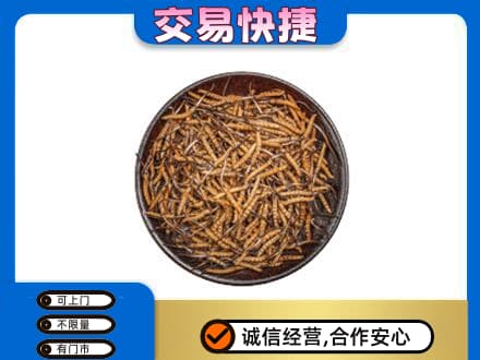台州市回收散虫草